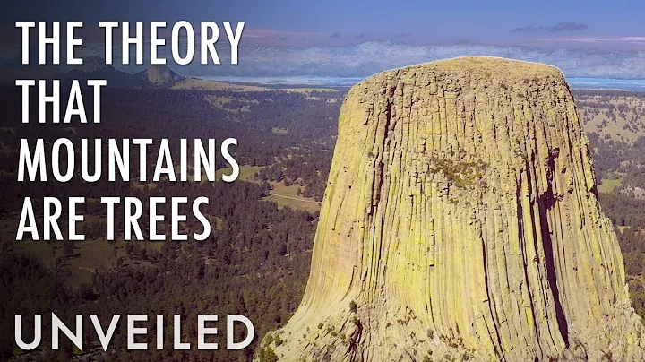 The Strange Theory That Mountains Are Trees | Unveiled - DayDayNews