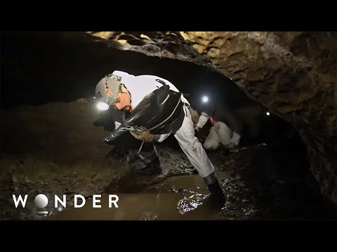 Near Death Experience: Inside The World's Deepest Cave documentary thumbnail