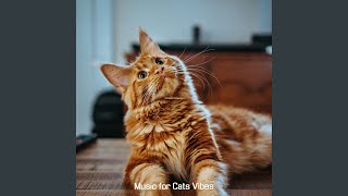 Modish Ambiance for Calm Kittens