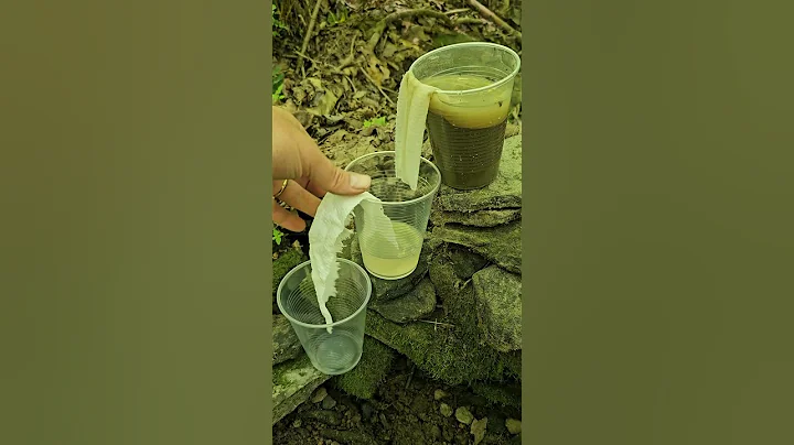 Filtering sediment from muddy water with a paper towel and some cups