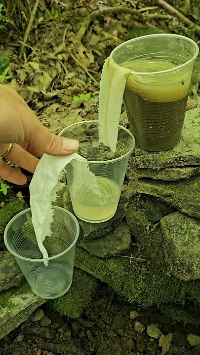 Filtering sediment from muddy water with a paper towel and some cups