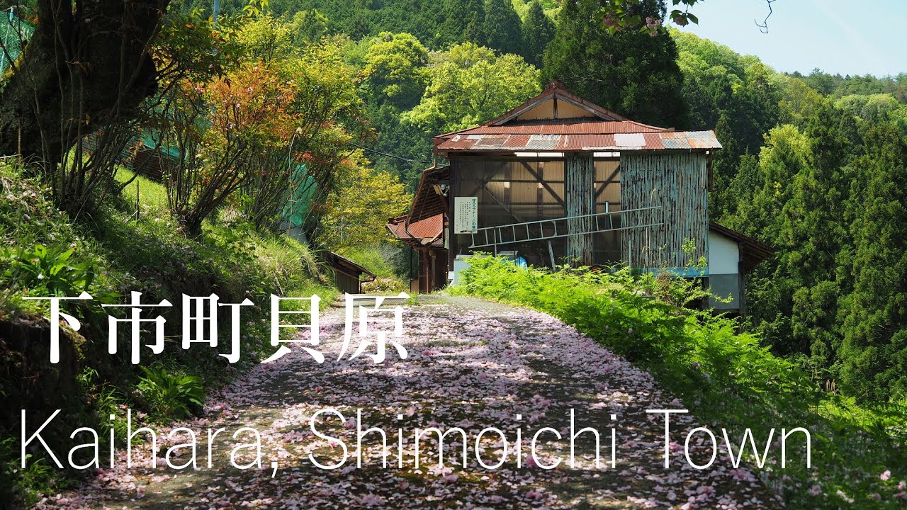 鬱蒼とした林道を上がると貝原の集落があった【田舎散歩・限界集落】（奈良県下市町）The hamlet of Kaihara on a lush forest road