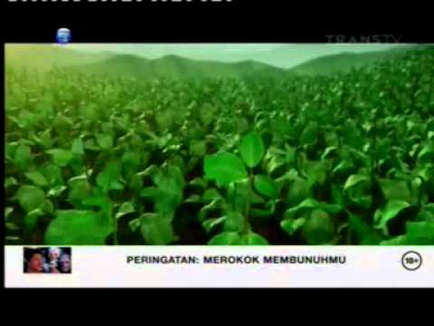 Transtv La Menthol 21 38 (26/03)