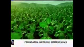 Download lagu Transtv La Menthol 21 38 (26/03)