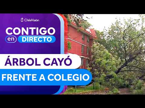 FELL IN FRONT OF A SCHOOL: Massive tree collapsed in the middle of a street in Ñuñoa - Contigo en...