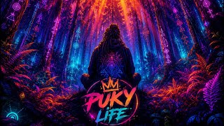     🌿 Tribal Hypnotic Techno | Forest Sunrise Journey 2026 ⭐