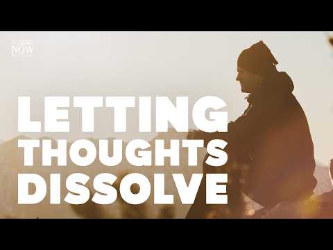 Joseph Goldstein's Insight Hour Podcast | Ep. 262