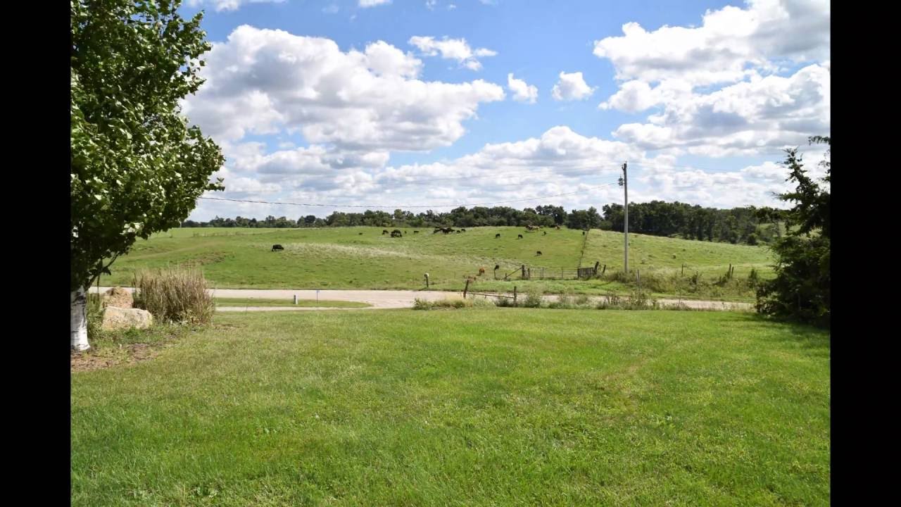 Iowa Timelapse Cows In Pasture 4k YouTube