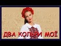 Українські пісні слухати. Два кольори мої два кольори