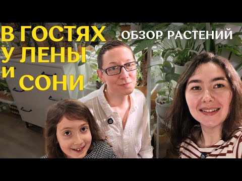 обзор РАСТЕНИЙ у