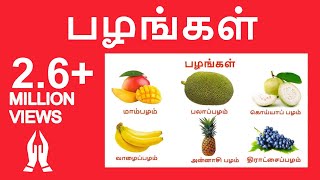 பழஙகள Learn Tamil Fruits Name Video For Kids And Children In Tamil Tamilarasi