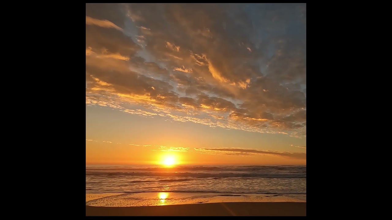 Synergetic duet of Nature and AI. Episode 2