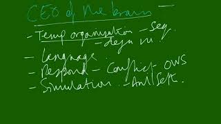 Overview of the Dorsolateral Prefrontal Cortex (DLPFC)