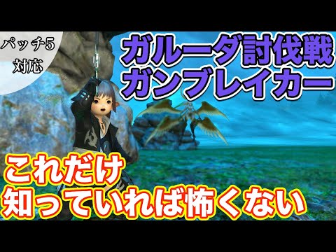 【FF14】ガルーダ討伐戦にガンブレイカー(タンク)で挑戦【これだけ知っていれば怖くないタンク編 2021年版】