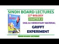 Sindh Board Lectures 11th Biology Grifft Experiment || DNA as Hereditary Material