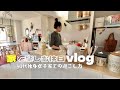 【40代独身休日vlog】うさぎが孫になった日/きのこ栽培キット/ブリ大根/ブリの昆布締め/春菊のチヂミ