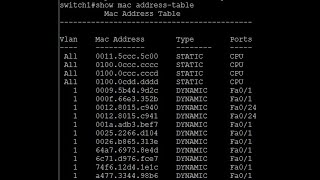 Cisco Switch MAC Address Table