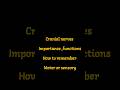 NCLEX HIGH YIELD TOPIC " CRANIAL NERVES MADE EASY"#nclex #nclexprep #nclexstudyguide