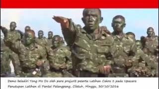 DEMO ATRAKSI KOSTRAD CAKRA 2 - BELADIRI YONG MOODO DI PANTAI PALANGPANG 2016