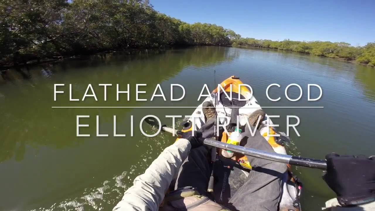 Flathead and Cod in the Elliott River on Dragon Kayaks YouTube