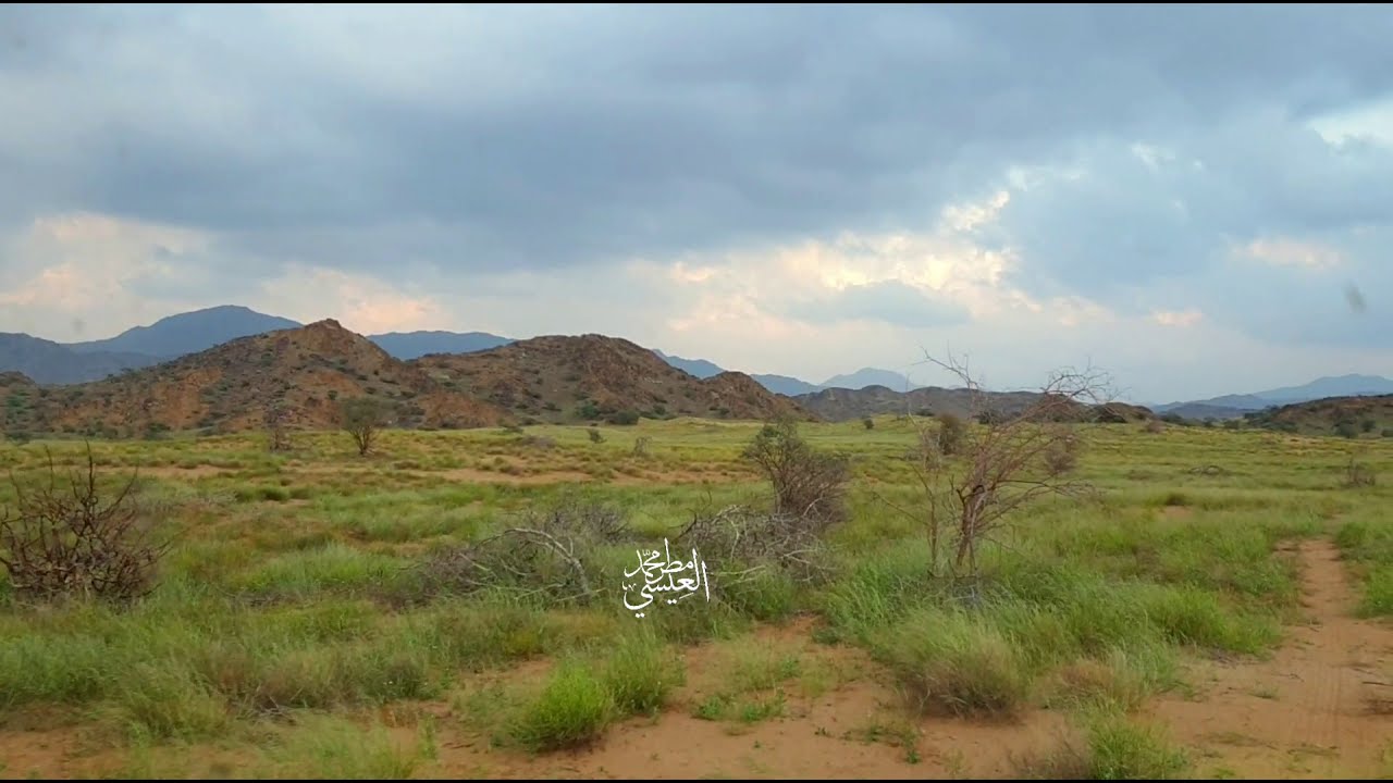 خبت بنى عيسى شرق القنفذه لعام ١٤٤١