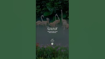 إن المتقين في جنات وعيون🌹 #تلاوةمختارة 🌴 القارئ ابراهيم شرف