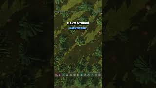 Trees CAN grow over stumps in Timberborn!