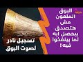 البوق الملعون مش هتصدق بيحصل ايه لما بينفخوا فيه البوق الملعون مش هتصدق بيحصل ايه لما بينفخوا فيه