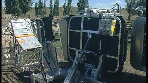 Sheep Handling Equipment - Part 1