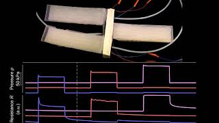 Soft robotic gripper with integrated sensors. screenshot 1