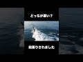 前乗りされた！どっちが悪い？　#サーフィン #サーフィン初心者 #夫婦 #surf #surfing