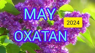 OXATAN BÜRCÜ.♐️ TARO-PROQNOZ. MAY💐. 2024.