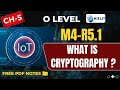 Cryptography Explained for Class 10 | Easy Guide to Secure Communication 🔐