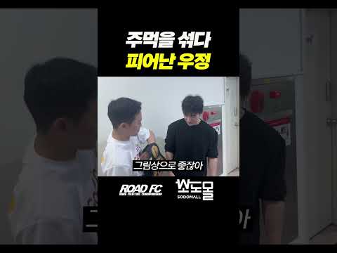 주먹을 섞다 <strong>피어난</strong> 우정
