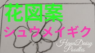 【刺繍初心者向け】シュウメイギク（Japanese anemone）の刺繍図案の描き方を紹介する動画です。（How to draw Japanese anemone for beginners）