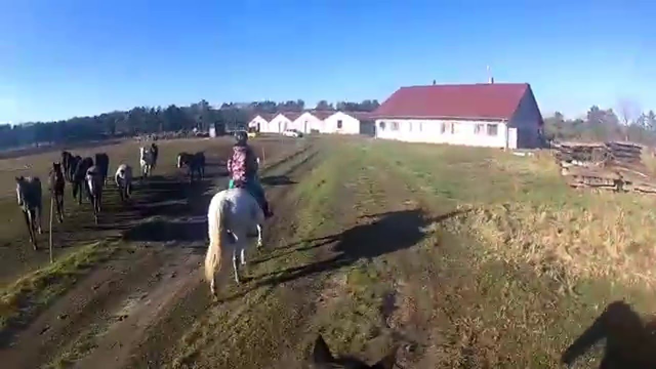 Helmet cam horse riding YouTube