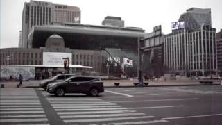 SDC10162