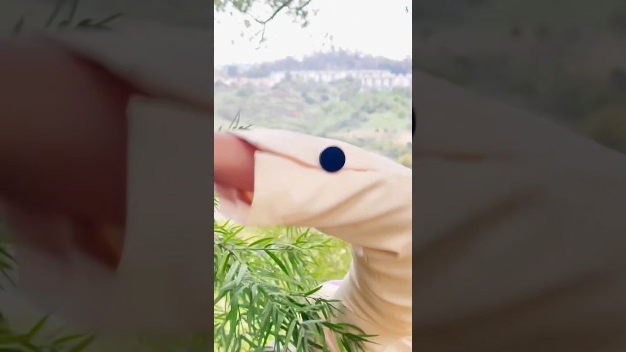 nature girl //city essentials 🌿