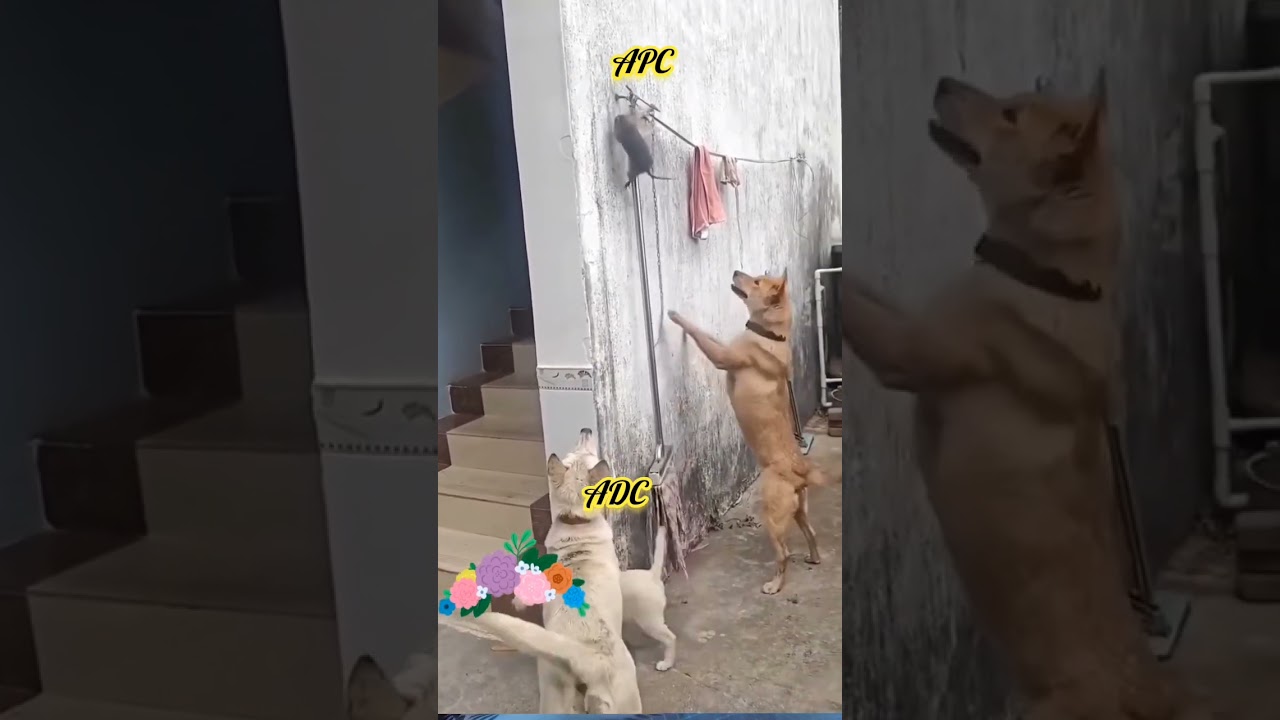 APC vs ADC come 2027. 