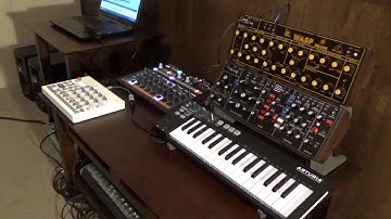 Behringer Wasp - Model D - Elektron Model:Samples - Arturia DrumBrute Impact