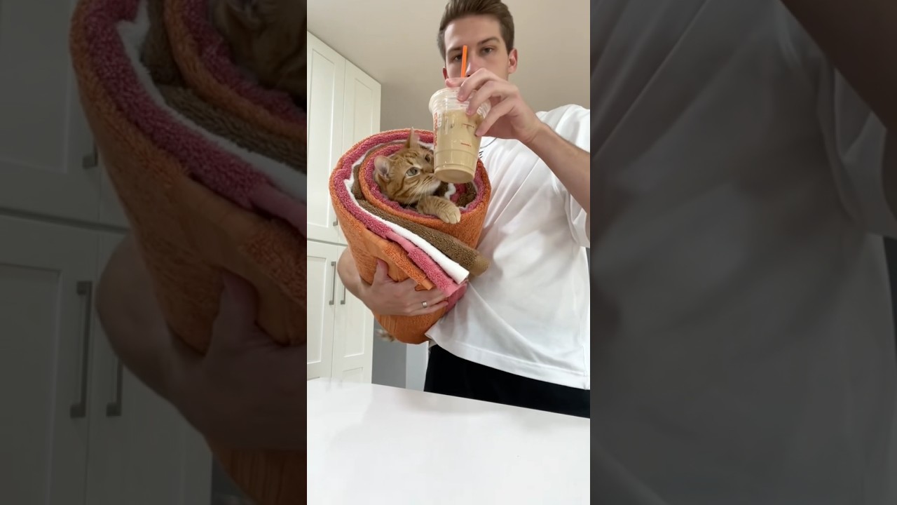 KURT LATTE PURRITO ☕️