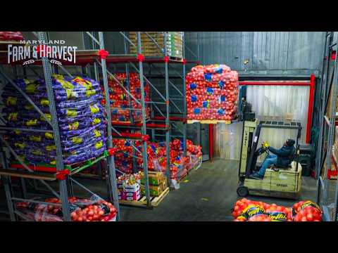 How Fresh Produce Gets From Farm to Grocery Store Overnight | MD F&H