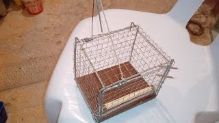 صنع مصيدة طيور / Make a bird trap