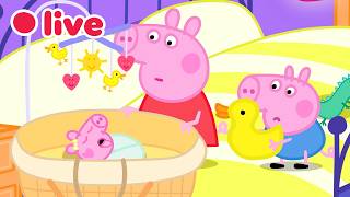 🔴 LIVE: Cutest Baby Evie Episodes 🍼 Peppa Pig Best Big Sister Moments✨Kids Cartoons 🐷