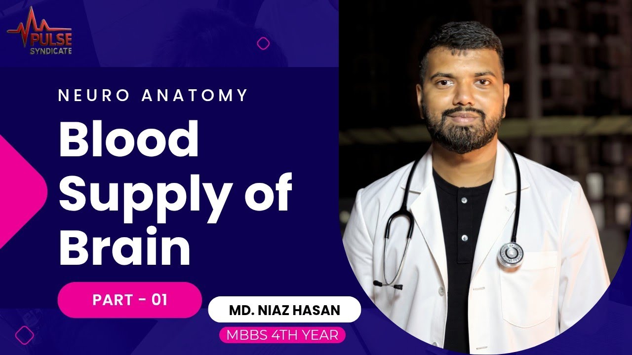 Blood supply of Brain (Part-01) | Neuroanatomy | NIAZ HASAN | Pulse ...