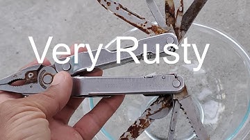 Cleaning Your Rusty Multi Tool Leatherman With Something In Your House.. Amazing Suprising results