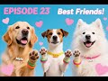 Different Is Beautiful 🌈 Kids Learn Acceptance & Diversity | Rescue Pups