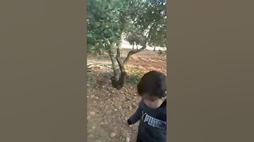 مع عبد الملك و سورة الناس