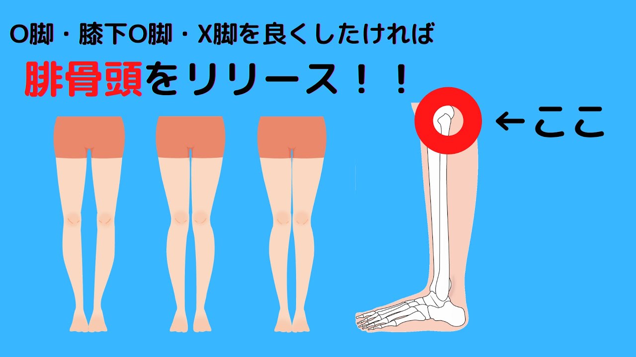 膝下o脚解消 腓骨頭をリリースして膝下o脚 脛の張りを解消 足首の動きもよくなります Youtube