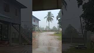 Httpsyoutubek4bikqhyqv0siqt0a7okpgu vaew sheep funny cute animals animal chickensong